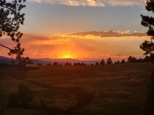 Montana Ranch